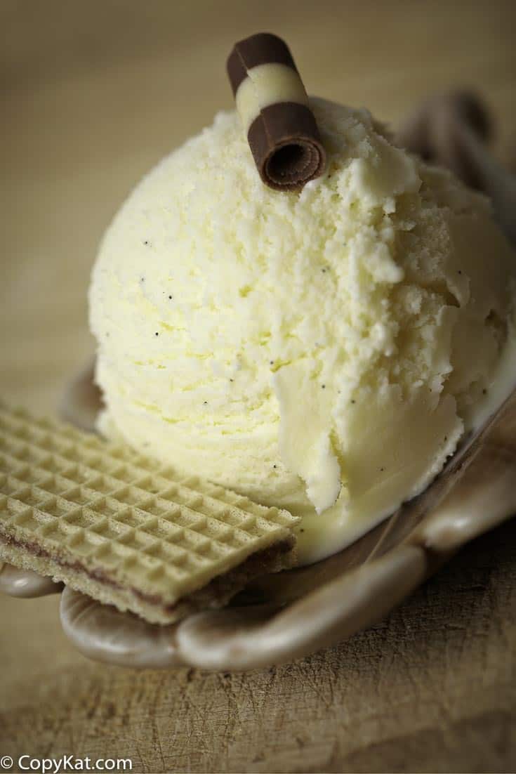 Skip the Machine: Homemade Vanilla Bean Ice Cream Made Simple